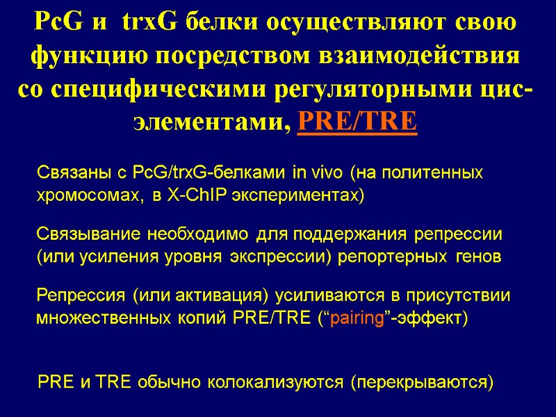 Связывание необходимо для поддержания репрессии (или усиления уровня экспрессии) репортерных генов Связаны с PcG/trxG-белками